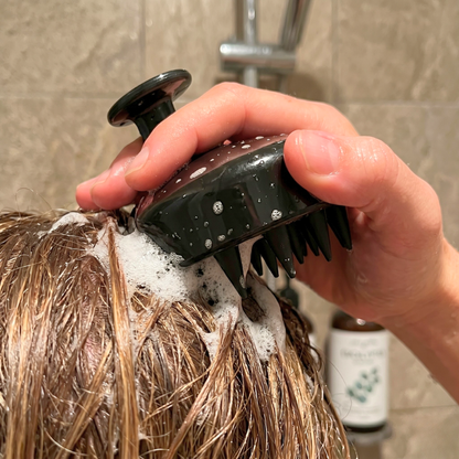 RootWell™ 3-Step Scalp System